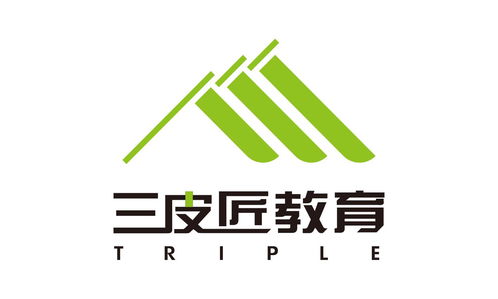 三皮匠教育咨詢 扎根羊城，服務陜西三協，共筑職業發展新橋梁